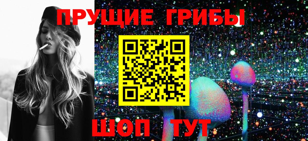 Псилоцибиновые грибы мухоморы Александров