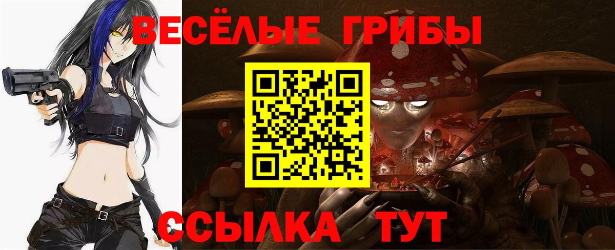 Галлюциногенные грибы Cubensis  Псилоцибиновые грибы Psilocybine cubensis  Александров  Вход с VPN 